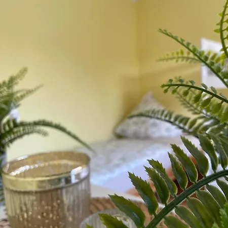 Moderne Zimmer Im Gruenen, Mit Park- Und Meer-Naehe Bad Zwischenahn Extérieur photo