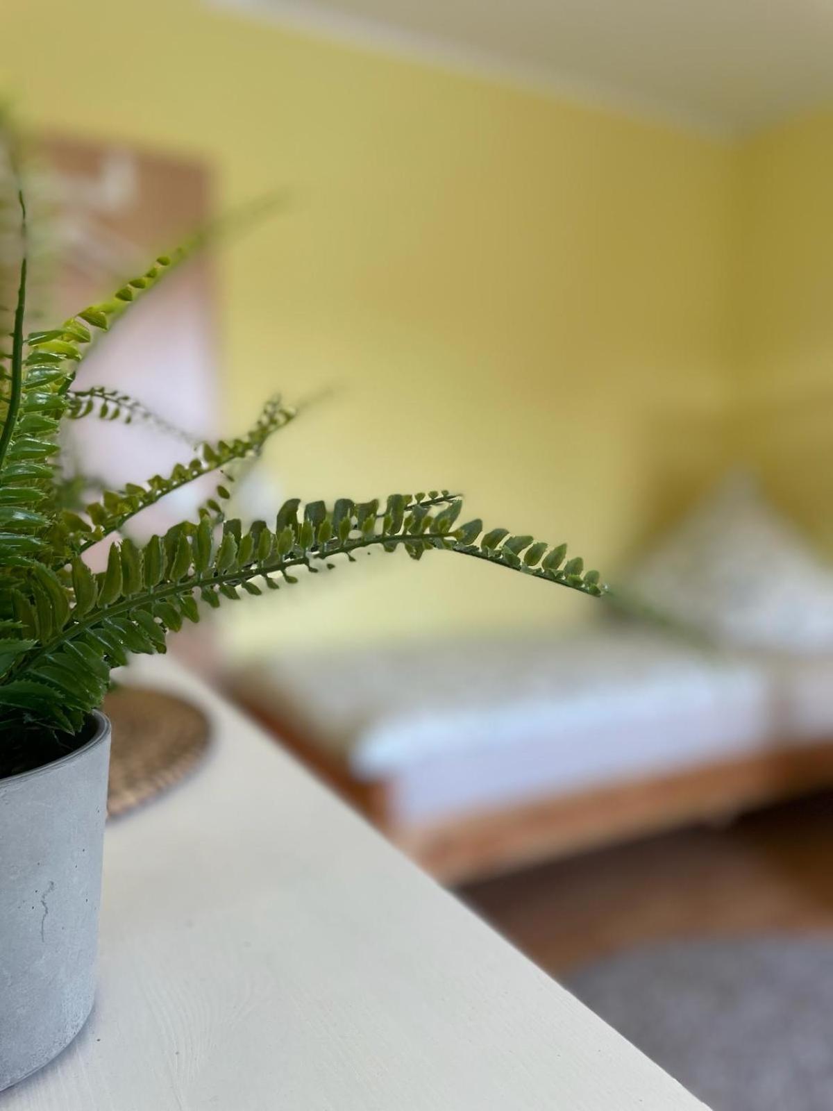 Moderne Im Gruenen, Mit Park- Und Meer-naehe Séjour chez l'habitant *